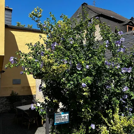 Ferienhaus Ausonius Neumagen-Dhron Buitenkant foto
