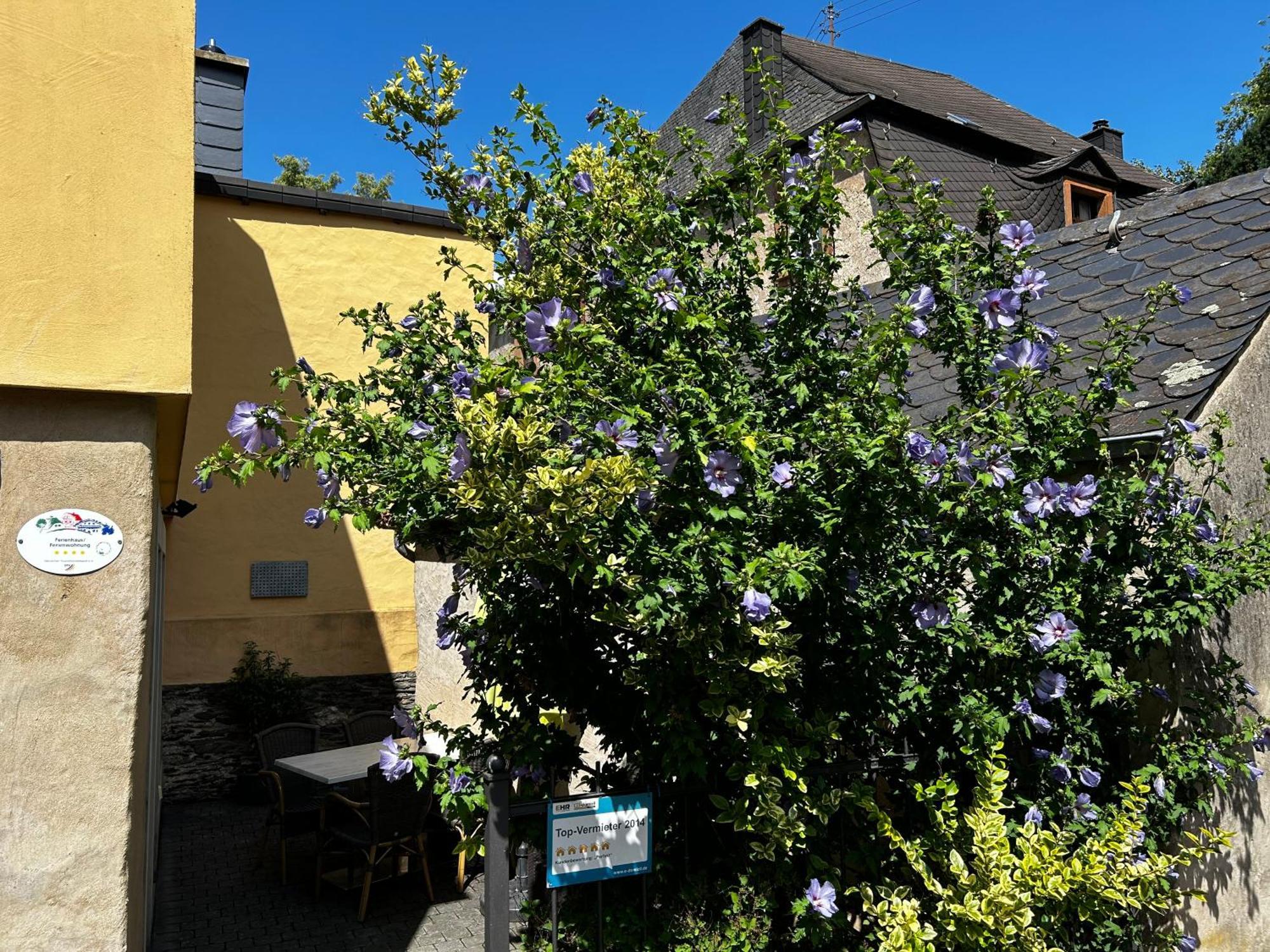 Ausonius Appartement Neumagen-Dhron